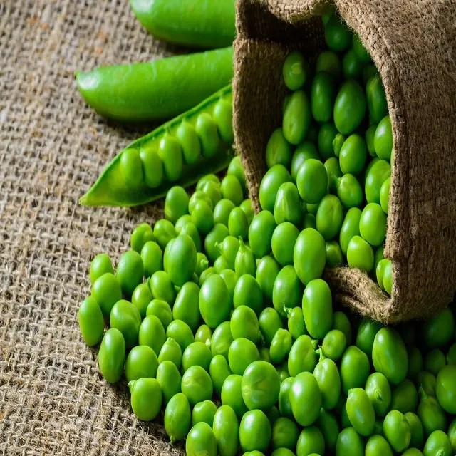 Wholesale Green Peas available in high quality