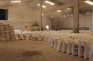 Pienso de Salvado de Trigo en Pellets para Ganado, Alimento a Base de Granos con 3 Años de Vida Útil, Empaque de 25 kg - Product Image 4