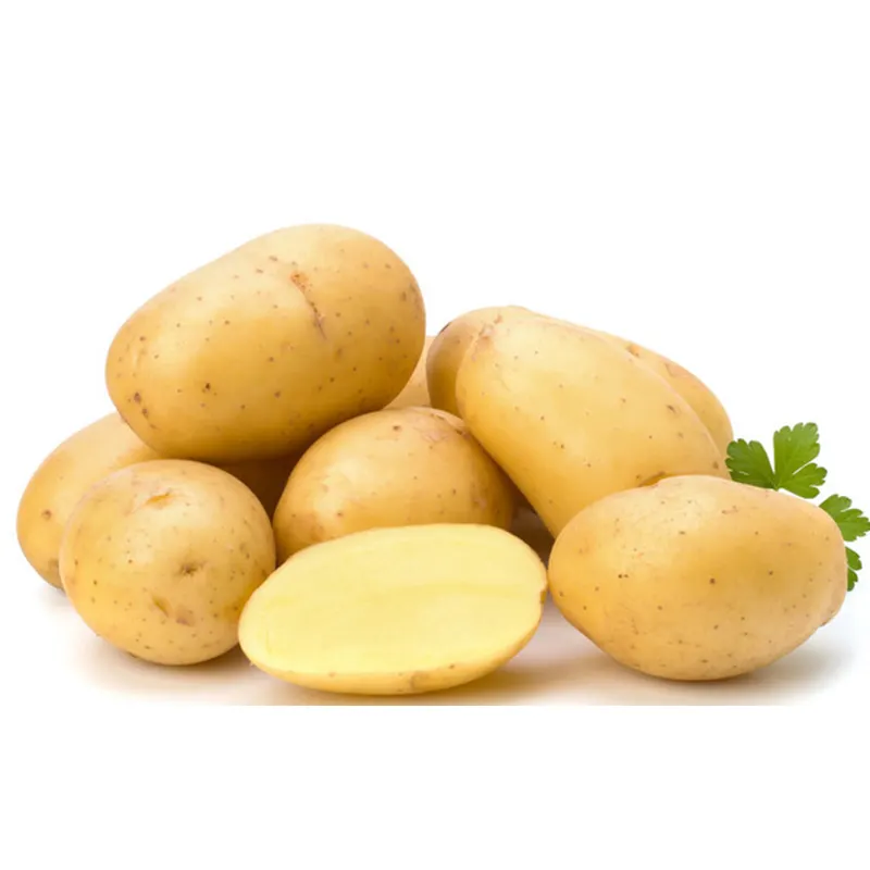 Güvenli ve sağlıklı patates taze sebze taze patates fiyatı