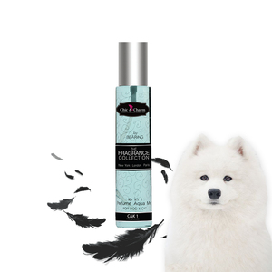 No.1 Chic&Charm Dog Perfume Spray 150 ml <b>Aqua</b> Mist Plastic Pet Perfume to Eliminate Odor and Enrich <b>Skin</b> Fur Happy Scent - Product Image 2