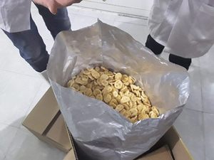 Chips de banane croustillantes de qualité supérieure, Vietnam |   Collation végane sans sucre |   PRIX DIRECT USINE IMBATTABLE - Product Image 5