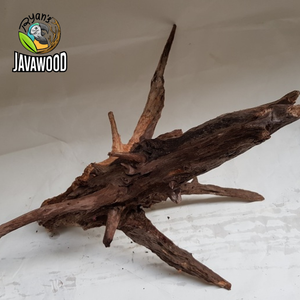 บอนไซธรรมชาติกิ่งไม้สำหรับตู้ปลา,ไม้ไผ่ตกแต่งตู้ปลาจากชวากลางอินโดนีเซีย - Product Image 5