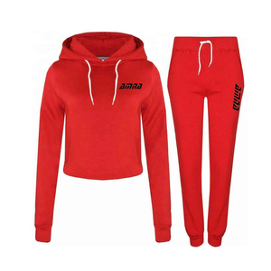 Venta al por mayor de conjuntos de sudaderas con capucha de mujer de lana en manga completa con diseño de trabajo de panel en diferentes colores - Product Image 3