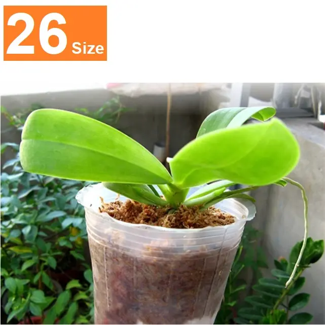 Kwekerij Pot 1 2 3 4 5 Inch Orchidee Zonnebloemen Voortplanting Cherry