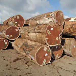 Iroko Planke/Holz/Holz mit schöner Maserung für Möbel zum Verkauf