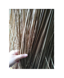 De coco 100% Natural palo de escoba Natural en mejor precio para venta - Product Image 3