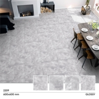 Carreaux de sol en porcelaine à double chargement, carreaux de sol, bon marché, lumineux, indien, MOQ1 * 20ft conteneur 60x60cm