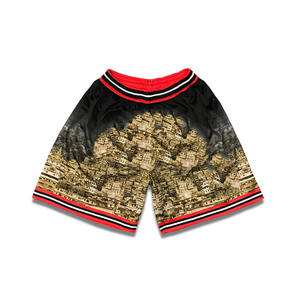 Pantalones Cortos de Baloncesto Retro Sublimados, Ecológicos, Transpirables, de Secado Rápido, Cintura Elástica, Personalizables, de Alta Calidad para Equipos Deportivos - Product Image 2