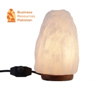 Lampe de sel rose de l'Himalaya naturelle sculptée à la main, taille personnalisée, cristal de roche écologique, Feng Shui pour la décoration intérieure, cadeau de vacances, ampoule