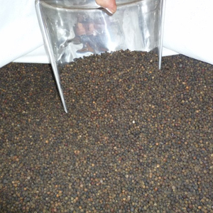 Hot Sale Vietnam Top Grade Single Spices <b>Ground</b> Black bulk <b>Pepper</b> 550gl clean for export - Product Image 6