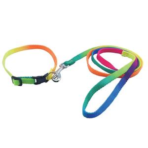 Colorido Premium Pet Nylon Webbing Dog Walking Collar y correa Set Collar ajustable Plomo - Product Image 2