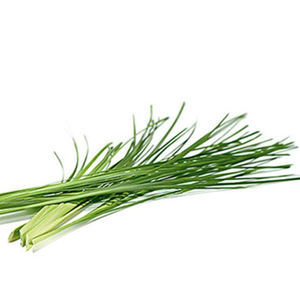 Huile essentielle de vétiver de qualité supérieure |   Revitalisant cutané 100% pur distillé à la vapeur - Product Image 2