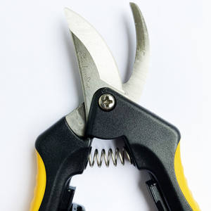 Stainless Steel Straight Blade Garden <b>Scissors</b> Pruning <b>Shears</b> for Pruning and Garden Care - Product Image 4