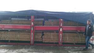 เสาไม้ไผ่300ซม.(10FT) สำหรับประดับพืช - Product Image 4