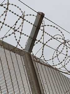 ลวดหนามเหล็กชุบสังกะสีแบบม้วน 8 เมตร - Product Image 2