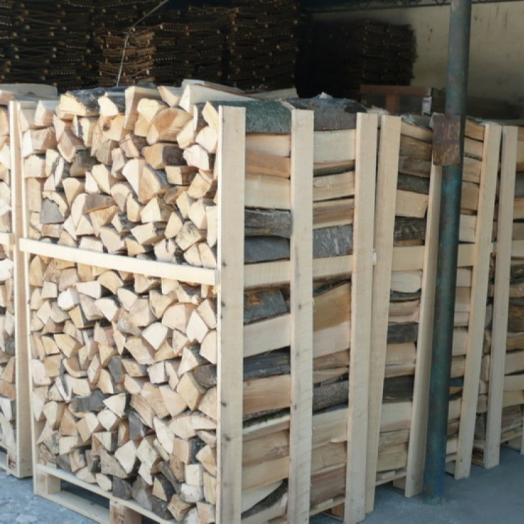 Буковые бревна из дуба и древесины для продажи