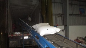 Pimienta Negra de Vietnam en Oferta, 500GL 550GL FAQ, Pimienta Entera Seca, Suministro de Fábrica, Exportación a Granel, Especias al por Mayor - Product Image 5