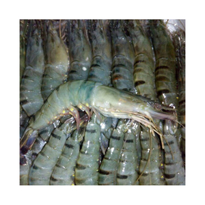กุ้งลายเสือแช่แข็ง / กุ้งลายเสือ - Product Image 6