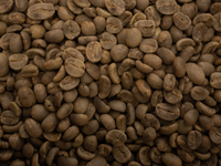 100 Capsules de café Venezia fabriquées en Italie compatibles avec un Modo Mio (R) par boîte
