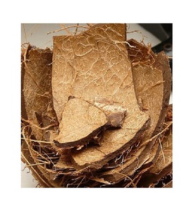 Vỏ Dừa/Vỏ Dừa Cắt Nửa/Vỏ Dừa Từ Việt Nam - Product Image 4