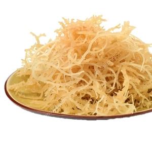 Mousse de mer séchée de haute qualité 100% organique AD transformé en vrac emballage marque VIET DELTA du Vietnam - Product Image 1