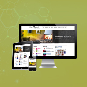 <b>Software</b> technology blogs | IT Blogs Development Company in India | Custom <b>Software</b> Development Services by Webroot Infosoft - Product Image 5
