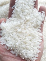 Riz Jasmin à Grains Longs Qualité Supérieure Séchée du Vietnam Durée de Conservation 24 Mois Export Direct Usine Riz Arroz
