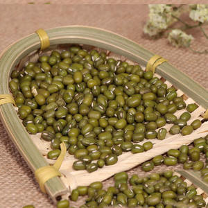 Frijoles Mung Verdes Secos de Alta Calidad / Frijoles Moong Enteros Moong Dal Alimento a Granel a Precio de Mayoreo - Product Image 1