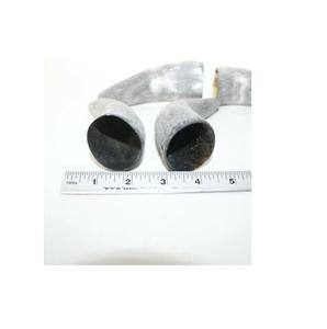 Uffalo ORN-cuerno de búfalo, producto en oferta - Product Image 2