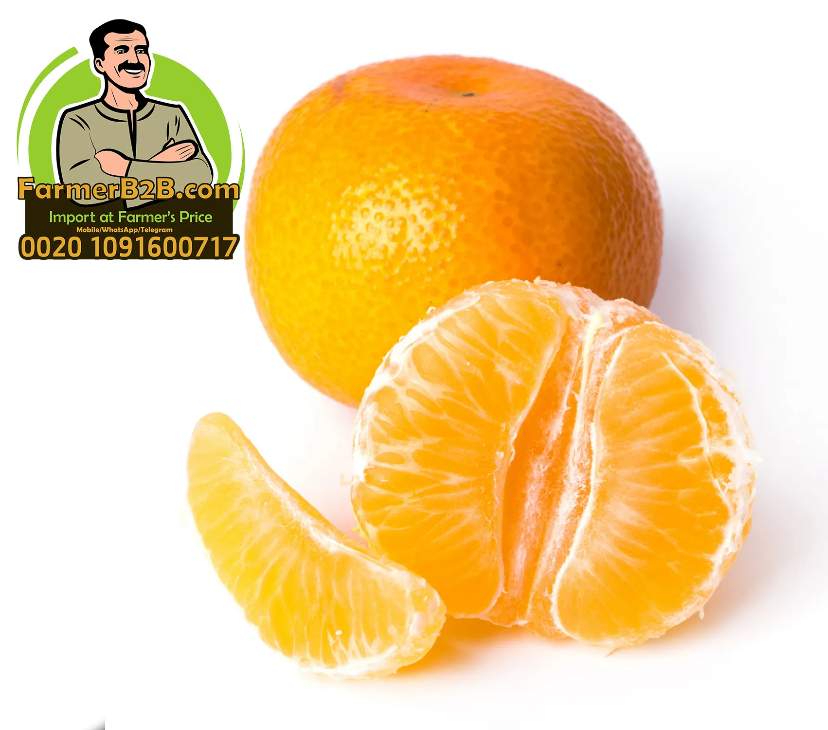 למעלה איכות מצרי תפוזי מנדרינית (מחיר מיוחד) עבור כל מכירה