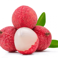 Premium Kelas organik Vietnam leci segar manis mencicipi buah terlaris untuk aplikasi makanan