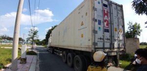 CHILI fresco, 10CM- 14CM para el mercado de Corea, TRACY CAO + 84 969 800 854 - Product Image 5