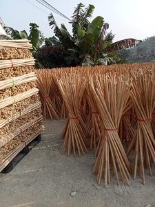 Bâtons de balai en bois d'eucalyptus droits et enduits de PVC poignées de balai en bois durables pour un usage domestique - Product Image 2