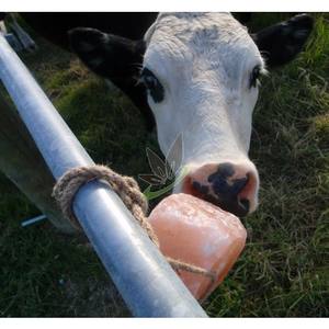 Sel naturelle, soin des animaux - Product Image 6