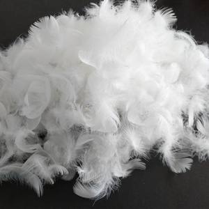 Top Vietnam Vente Bas Prix 2-8 cm Lavé Nature Pure White Duck Feather - Product Image 4