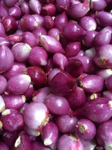 Cebolla secada al sol al por mayor - Product Image 2