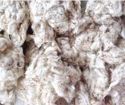 Déchets de coton naturel 100% Cotton Comber Noil pour la filature - Product Image 4