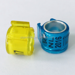 High Quality Netherlands Clubs <strong>Pigeon</strong> <strong>Rings</strong> New <strong>Model</strong> <strong>Pigeon</strong> <strong>Ring</strong> NL <strong>Pigeon</strong> <strong>Rings</strong> - Product Image 5