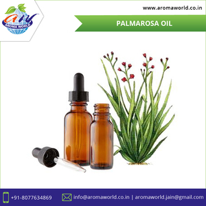 Huile Essentielle Pure de Palmarosa en Gros pour Soins de la Peau et des Cheveux, Huile d'Aromathérapie Naturelle pour Cosmétiques et Fabrication de Savons, Approvisionnement en Vrac OEM - Product Image 2