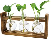 Vase en verre transparent en bois, cadeau créatif, pot de fleur suspendu, cadre en bois hydroponique
