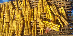 Le prix le plus bas des pousses de bambou sur le marché - Product Image 4