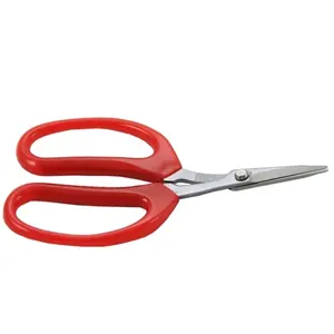 (GD-11599S) 6-1/3 zoll Stainless Steel Curved Scissors Pruning Shear Grape Shears