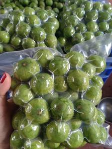 Dracontomelon Congelado Premium a Granel 2023 - Sra. Esther - Product Image 4