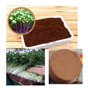 Vietnam Cocopeat bloque/Coco disco puede ser usado como un solo del suelo o mezclado con tierra para macetas. - Product Image 5