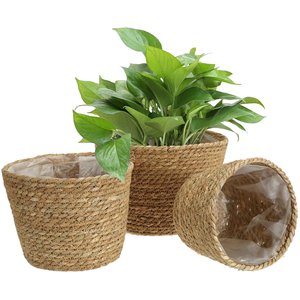 Maceta tejida para algas marinas, maceta para plantas en venta, hecha en VIETNAM - Product Image 1