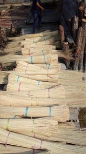 PALOS DE ESCOBAS DE COCO BLANCO / PALO DE ESCOBAS DE NIPAH / ESCOBAS DE PAGAÍDO - Origen Vietnam Marca GGN - Product Image 2