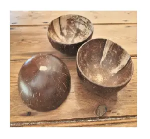 Hot Sale Full set Coconut bowl/ Eco-friendly Coconut Bowl (Bell: +-)