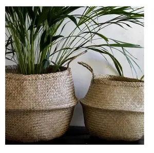 Vientre de Seagrass cesta de almacenamiento de tejido Seagrass cesta tejida Seagrass bolso del vientre canasta ([Ws0084587176063]