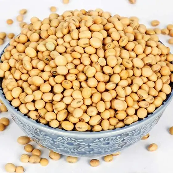Soybeans NON-GMO Crop High Quality Soybean Wholesale