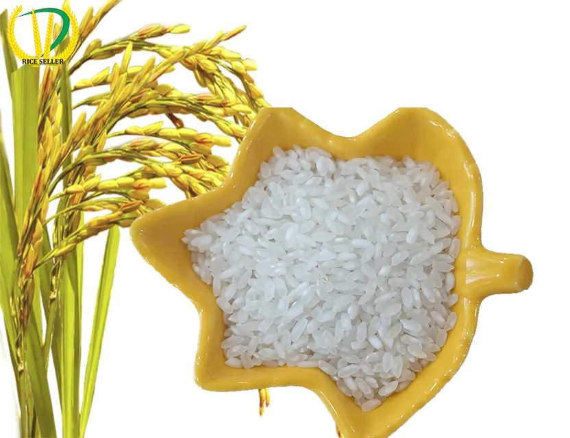 HOT HOT SALES MEDIUM GRAIN WHITE RICE OF HIGH QUALITY BEST PRICE IN VIETNAM FOR SALE